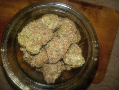 Customer photo review of Cheap Indoor THCA Flower Ounce