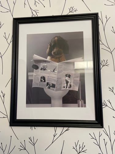 Customer photo review of Personalized Poster With Dog or Cat - Important Meeting