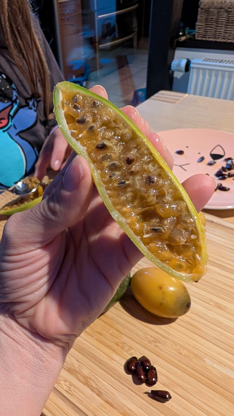 Customer photo review of Curuba (Bananen-Maracuja)