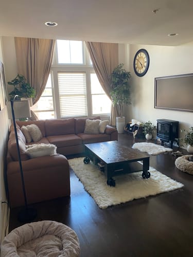 Customer photo review of Luxury Machine Washable Faux Sheepskin Rug - Pet & Stain Proof Shag Carpet | Eco-Friendly for Bedroom, Nursery, Living Room
