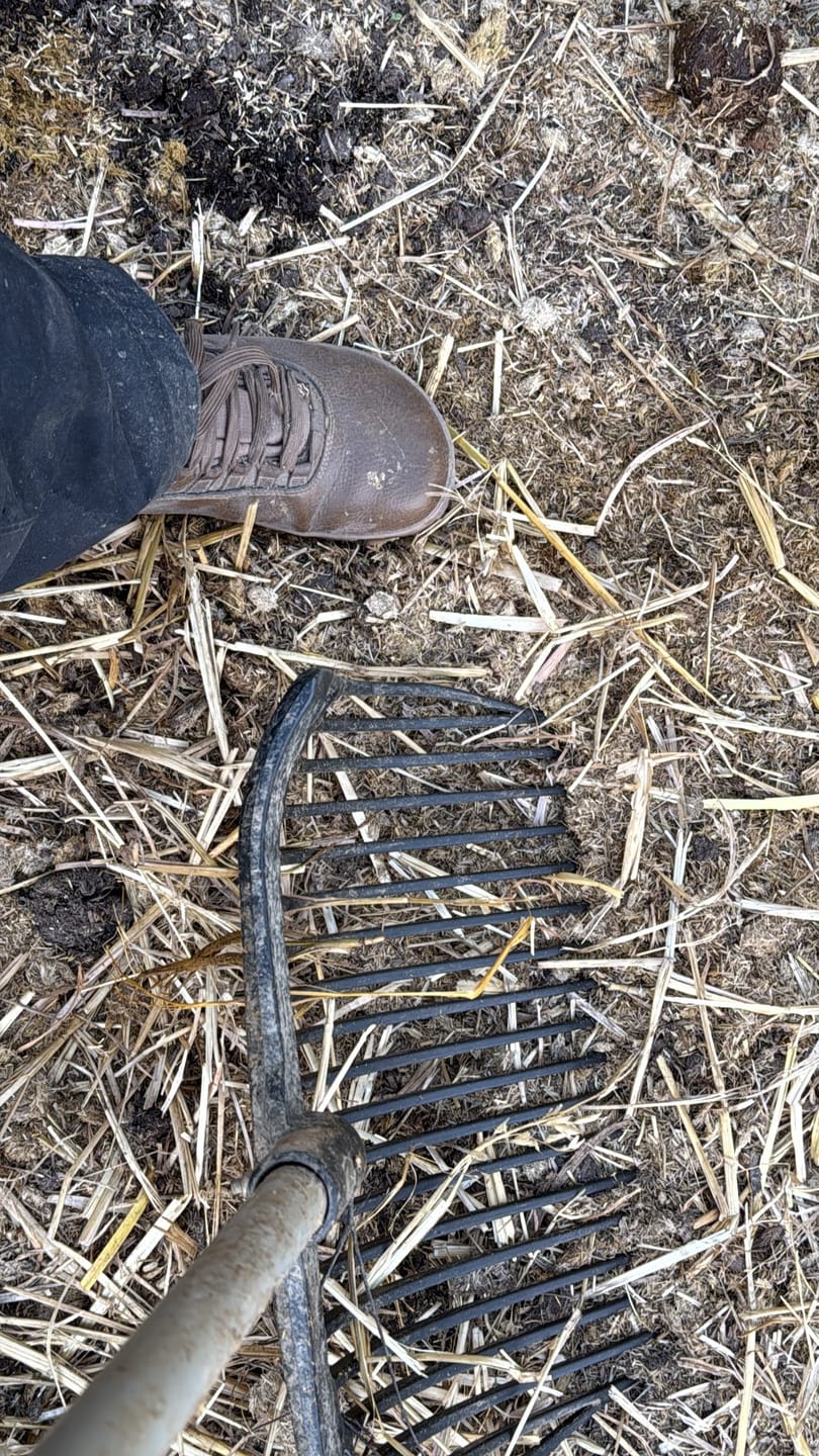 Customer photo review of Vaistoa Uoma 2 | Barefoot Trekking Boots
