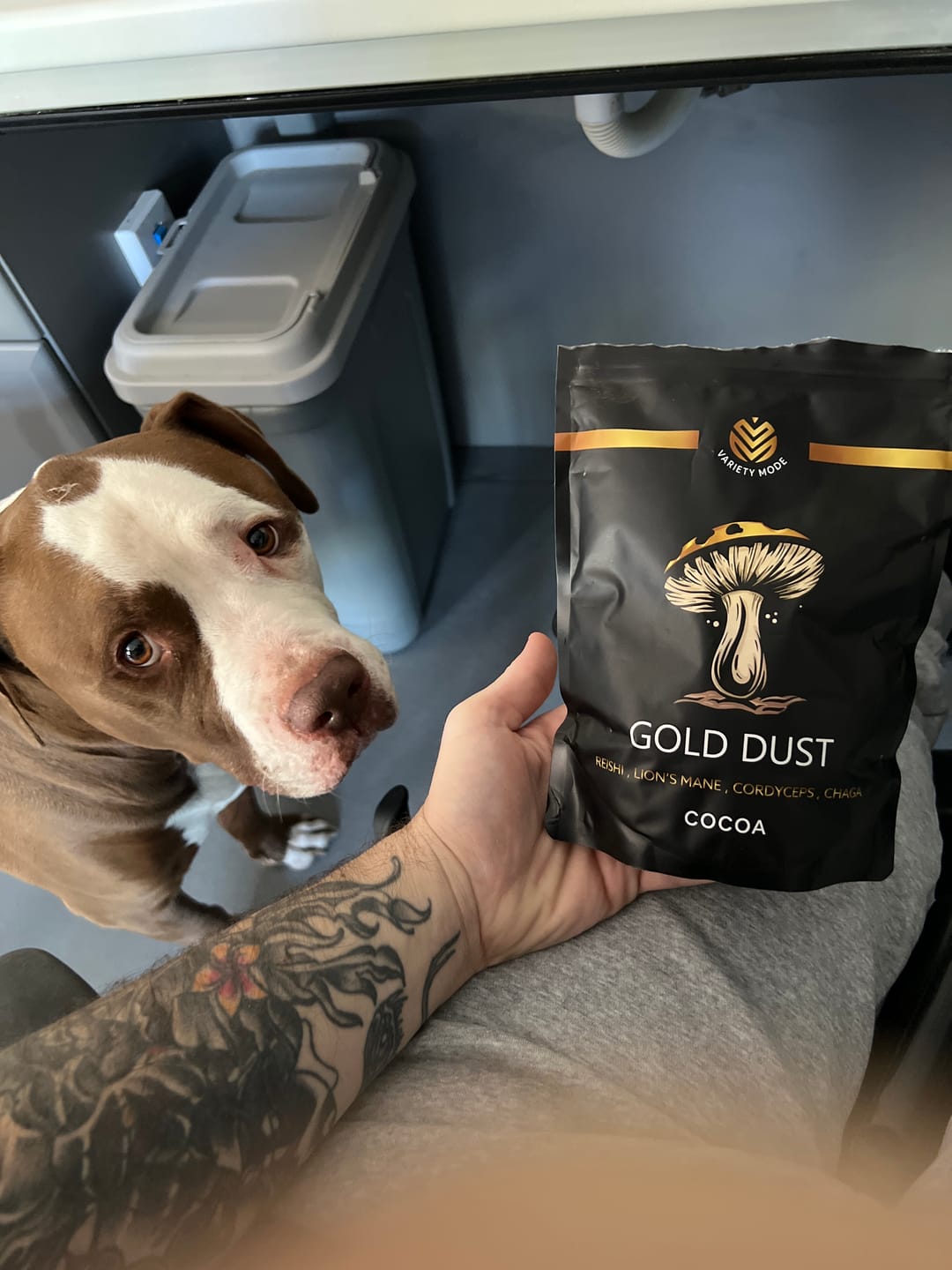 Customer photo review of Gold Dust - Cocoa