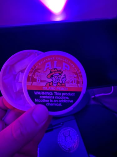 Reviewer holding an open can of ALP Island Peach nicotine pouches under purple light.