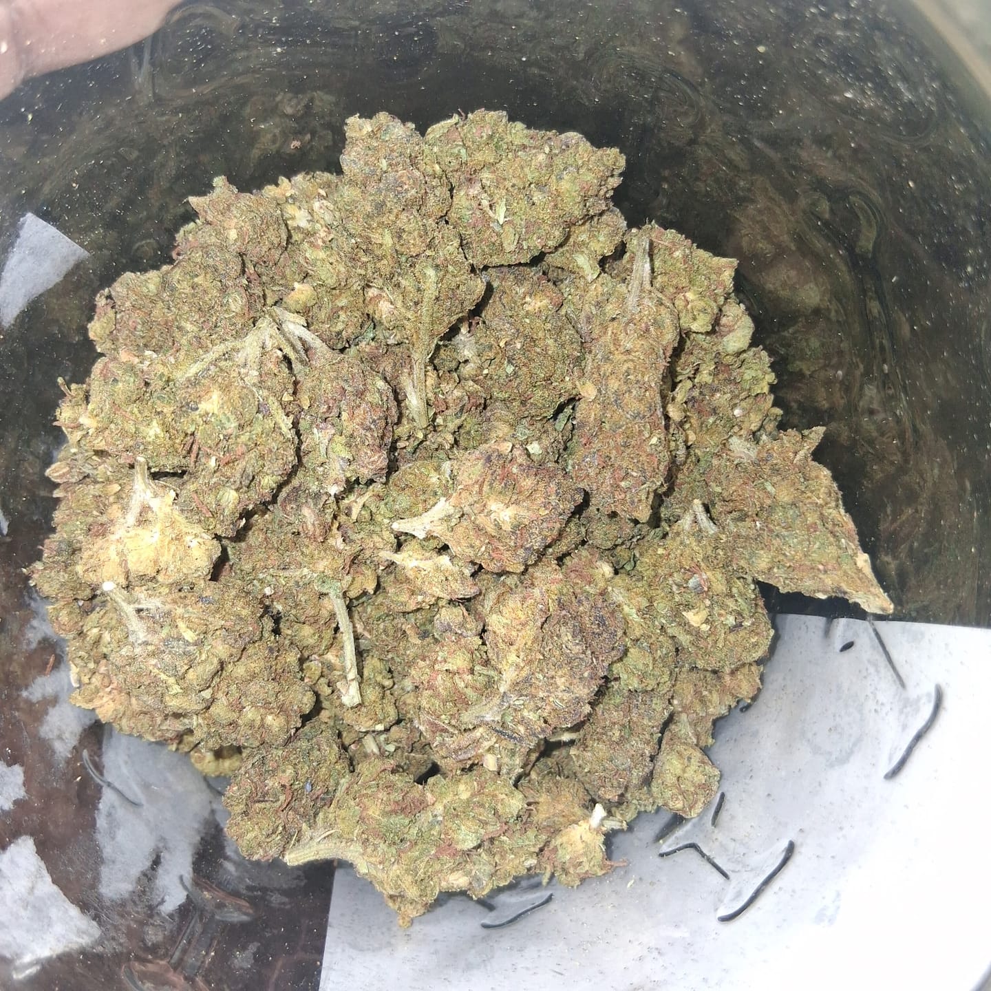 Customer photo review of Raspberry Kush - 4 Grams - Indica