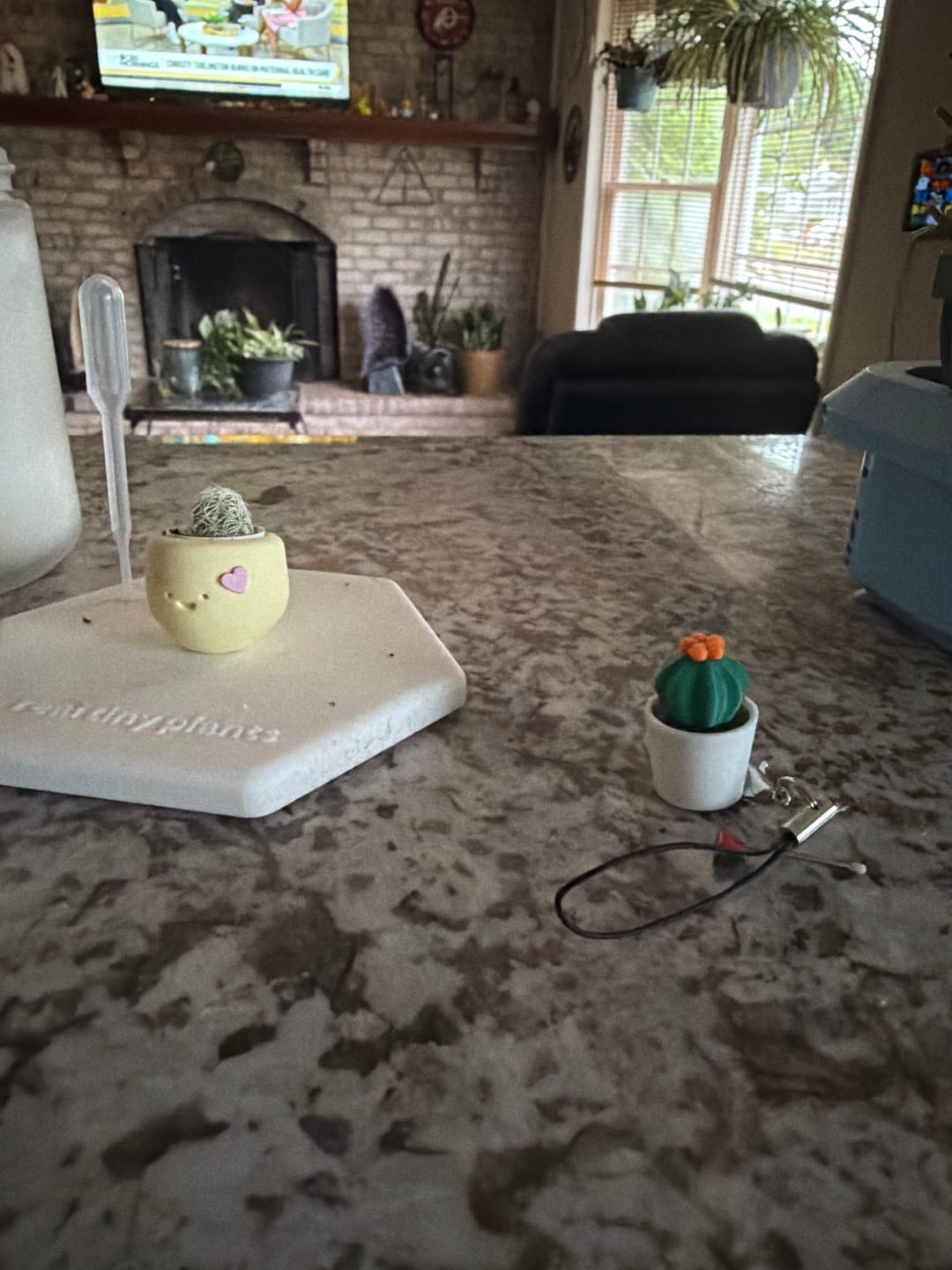 Customer photo review of Cactus Pal Keychain