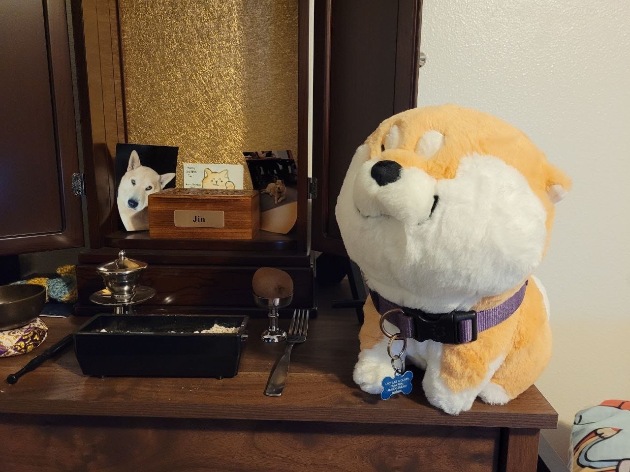 Customer photo review of Cute Shiba Inu Plushies