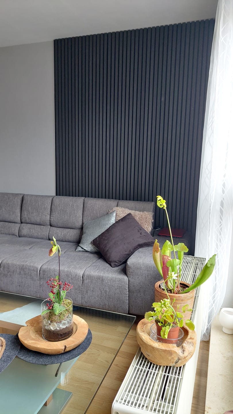 Customer photo review of Akustikpaneele schwarze Eiche | 240 cm x 60 cm | Dreiseitig Echtholzfurnier