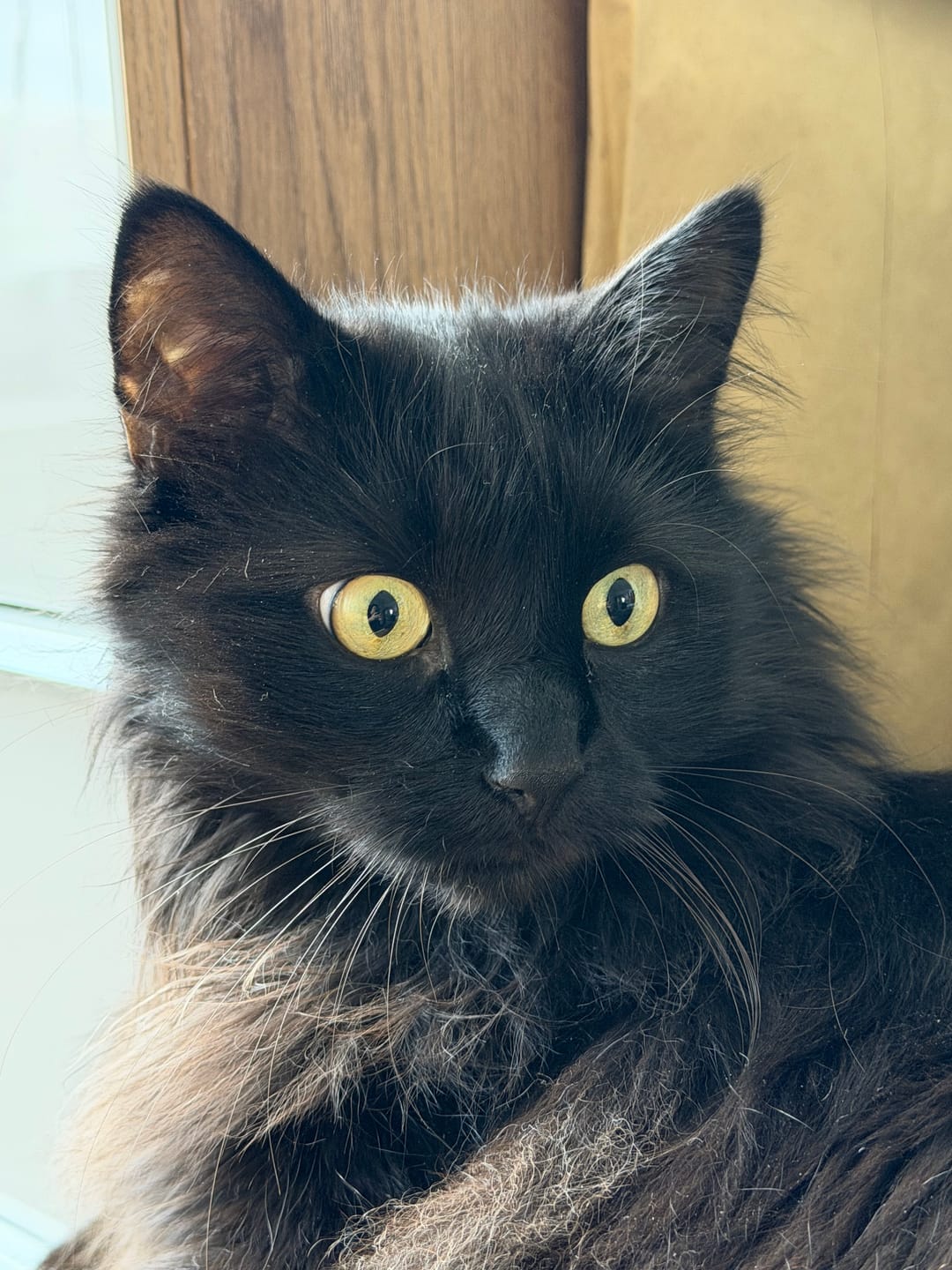 Customer photo review of Urin Überwachung Streuzusatz