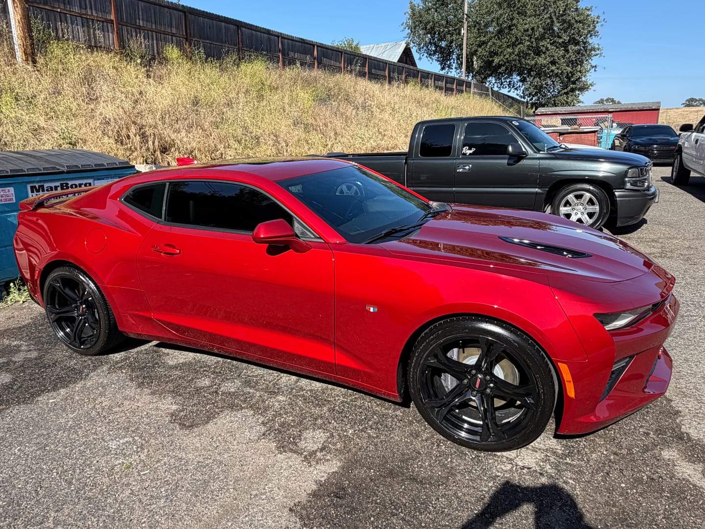 Customer photo review of Bug & Tar Remover