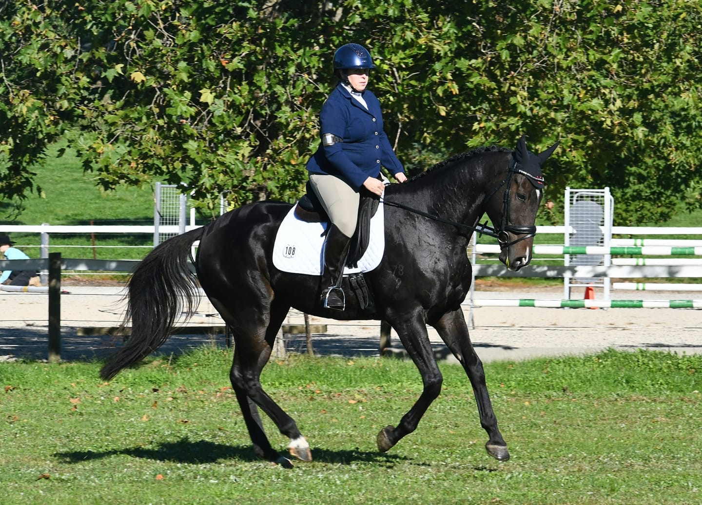 Customer photo review of Ulcer Armour+