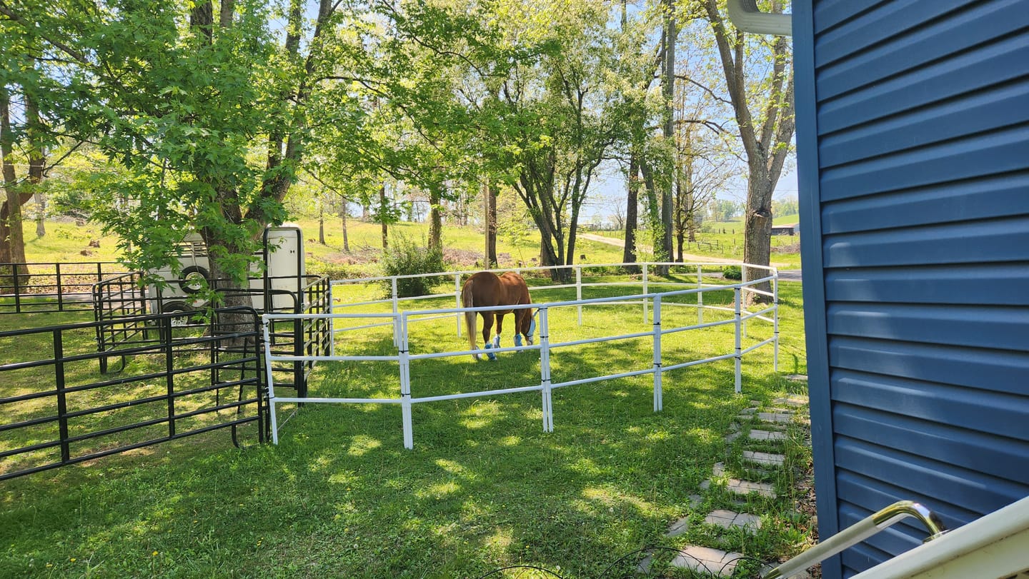 Customer photo review of Modular Horse Corral Portable Panel Fencing: (Liberty 14 Panels; 3 Rails)