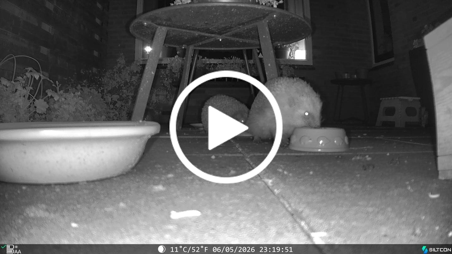 Customer video review of Siltcon® Wildcamera met Zonnepaneel 8K