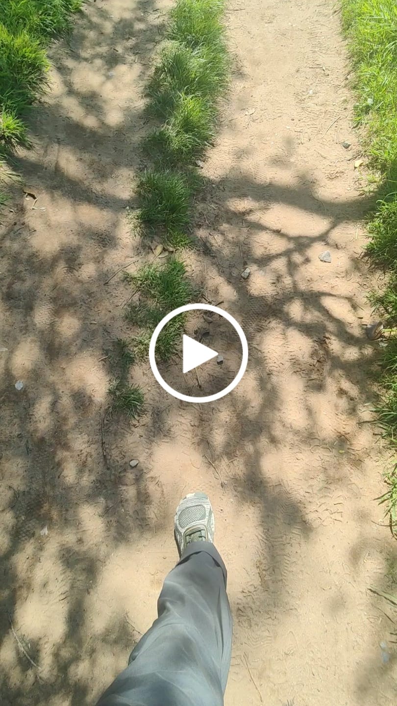 Customer video review of Active II Pro - Barefoot Shoes