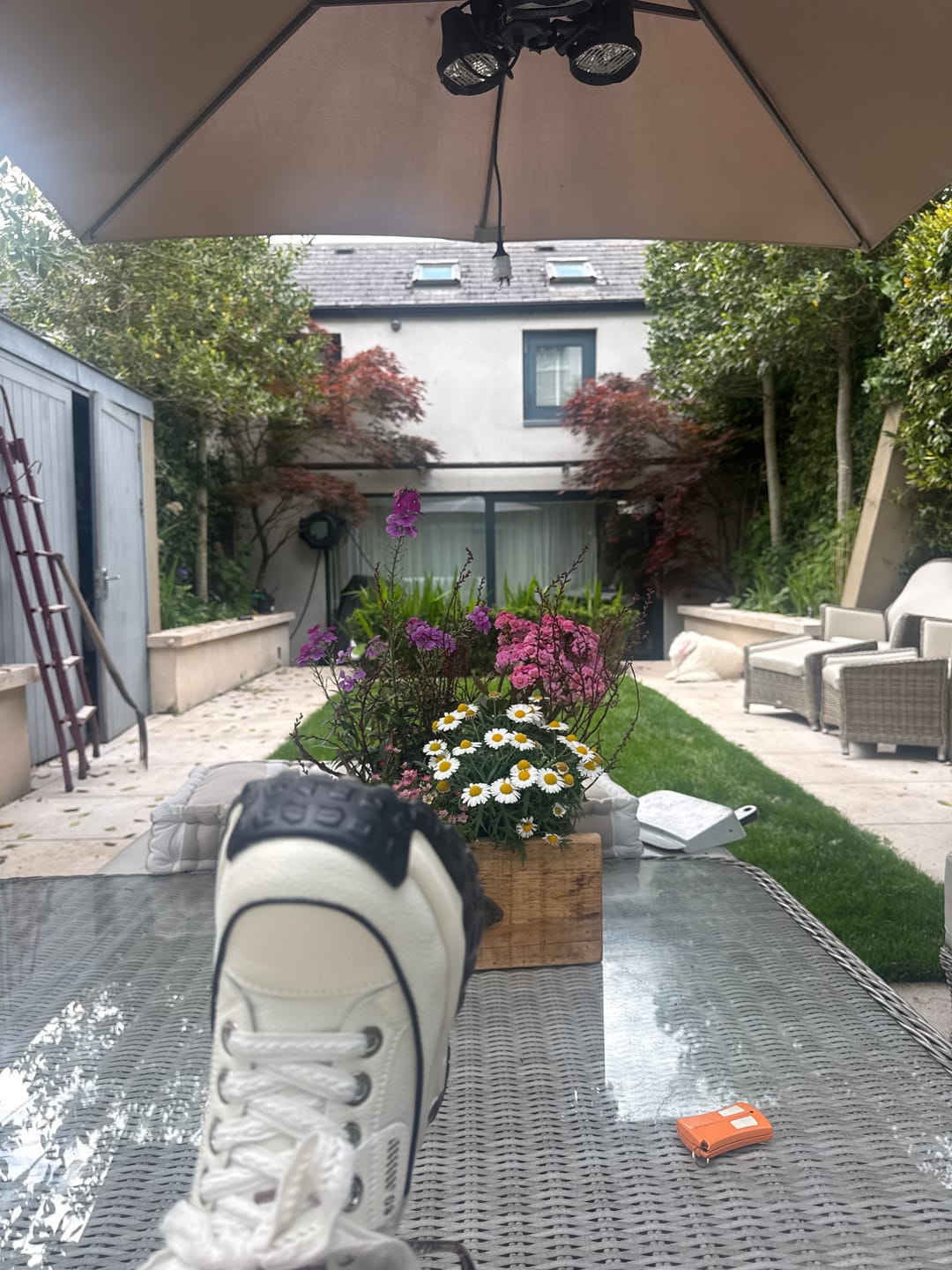 Customer photo review of Serina - 9cm (3.5")
