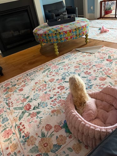 Customer photo review of Chloris Washable Area Rug - Beige