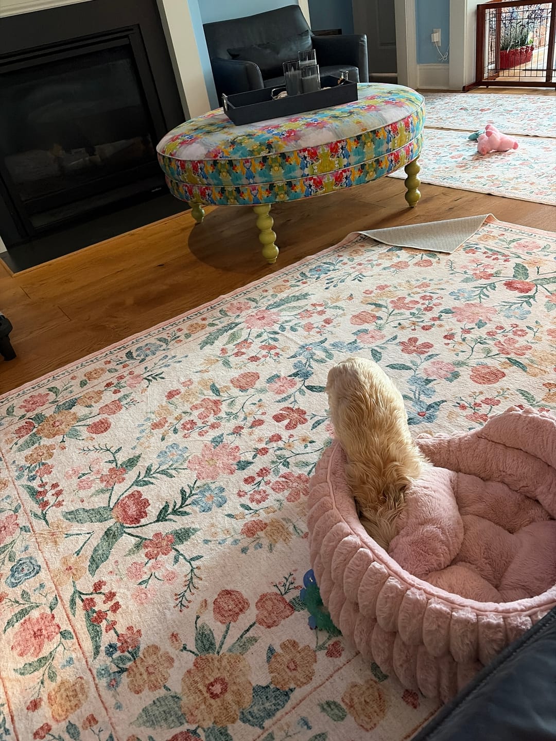 Customer photo review of Chloris Washable Area Rug - Beige