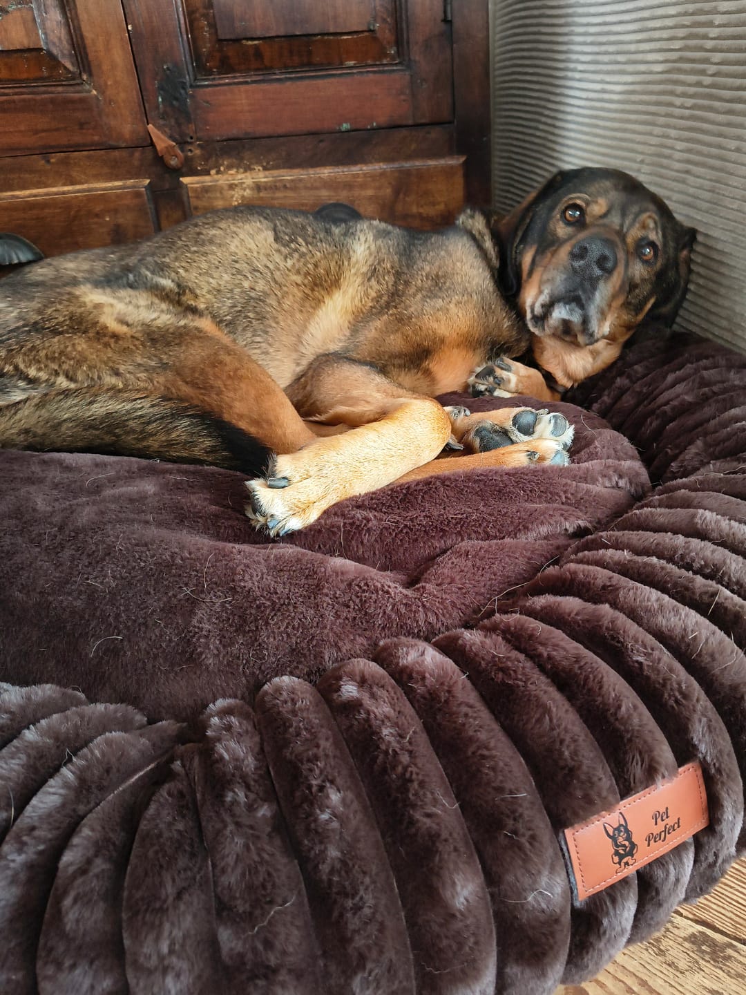 Customer photo review of Pet Perfect Hoes (ENKEL HOES) voor Orthopedische Donutmand - ZONDER VULLING