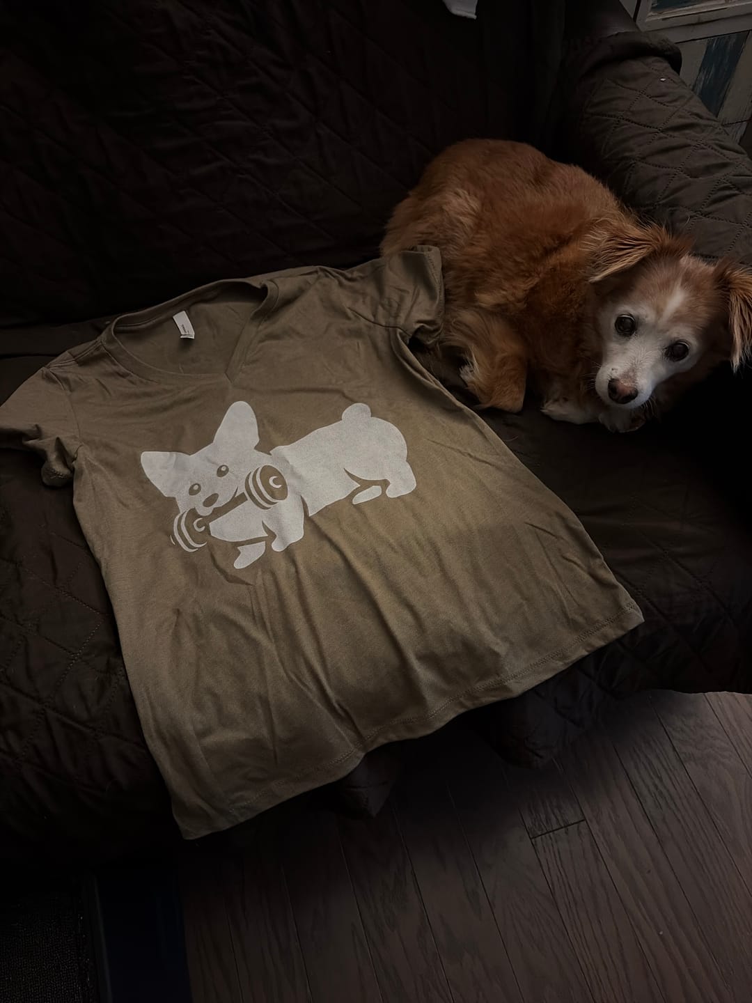 Customer photo review of Corgi Dumbbell V-Neck