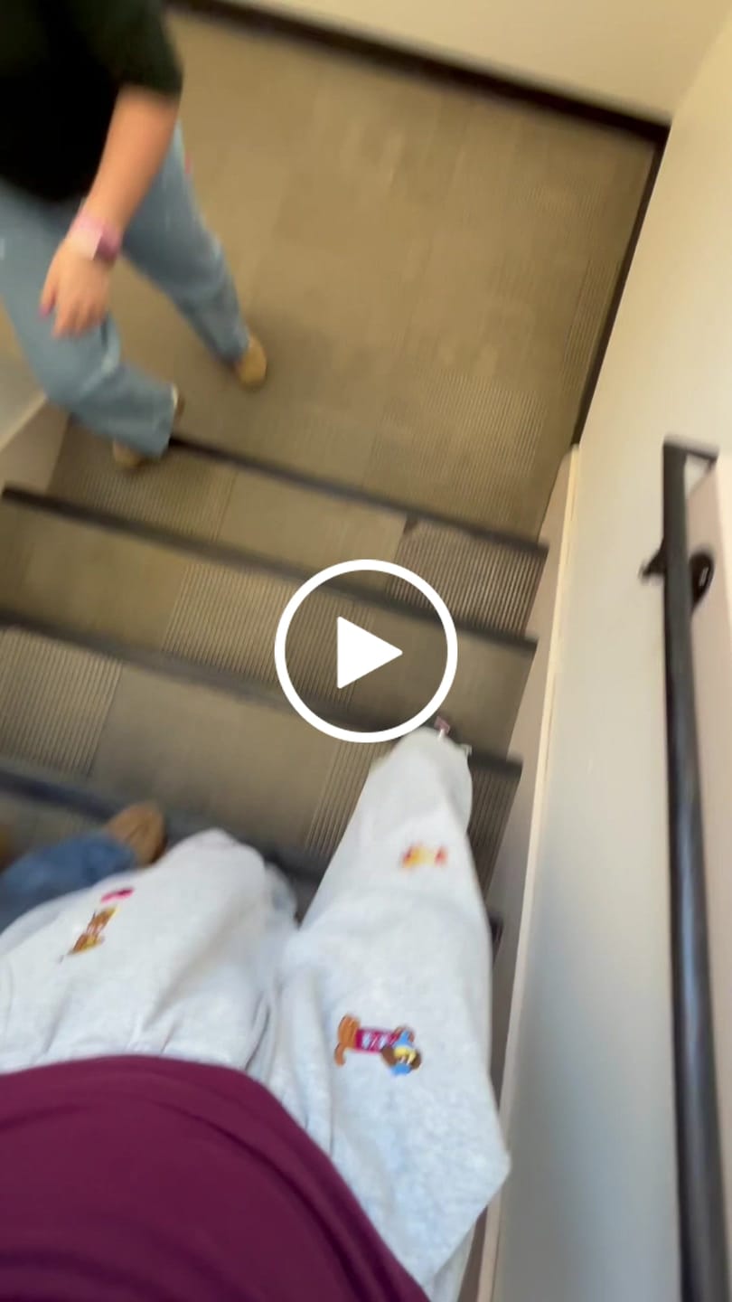 Customer video review of Aelfric Eden Embroidery Dog Baggy Barrel Sweatpants