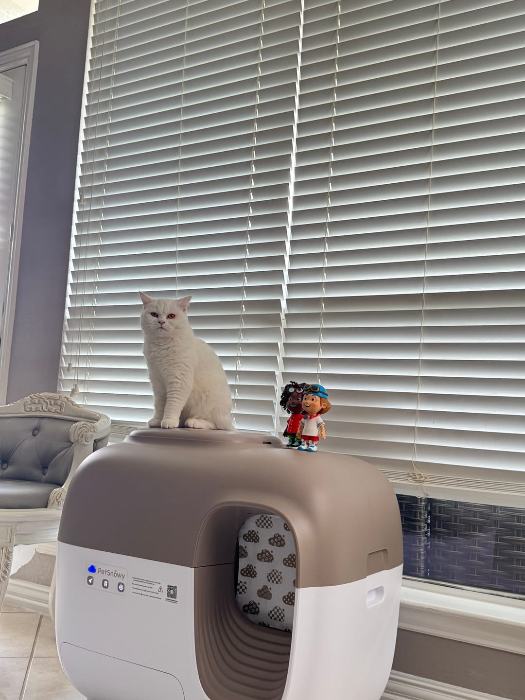 Customer photo review of Self-Cleaning Litter Box