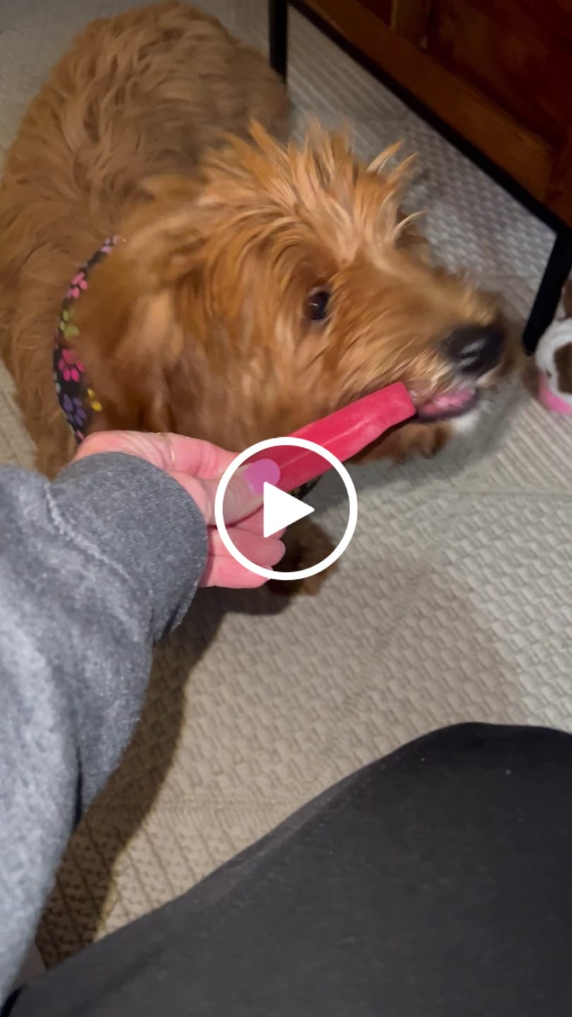Customer video review of Long-Lasting Yak Chews — 4 Flavor Pack