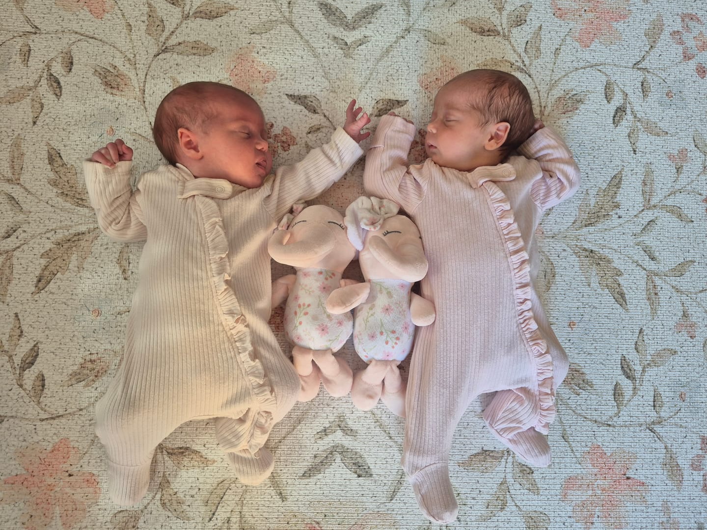 Customer photo review of ABC Storybook (Blush)/ Heirloom