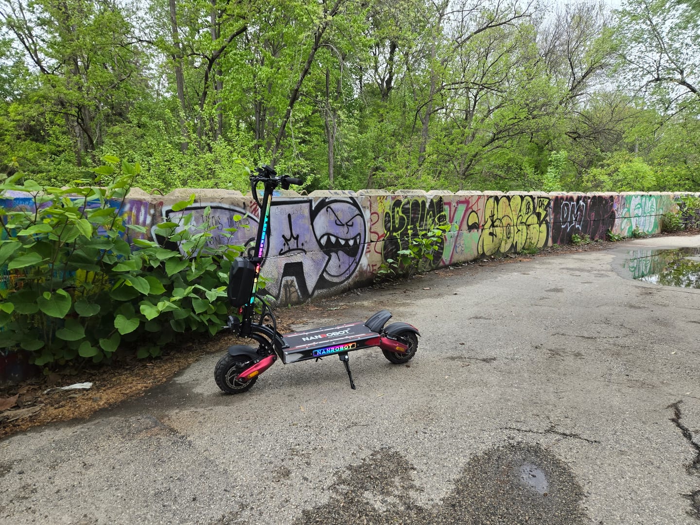 Customer photo review of NANROBOT LS7+ 72V