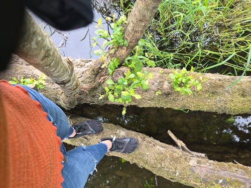 Reviewer wearing the black Vitality III - Barefoot Shoes while balancing on a mossy log over water.
