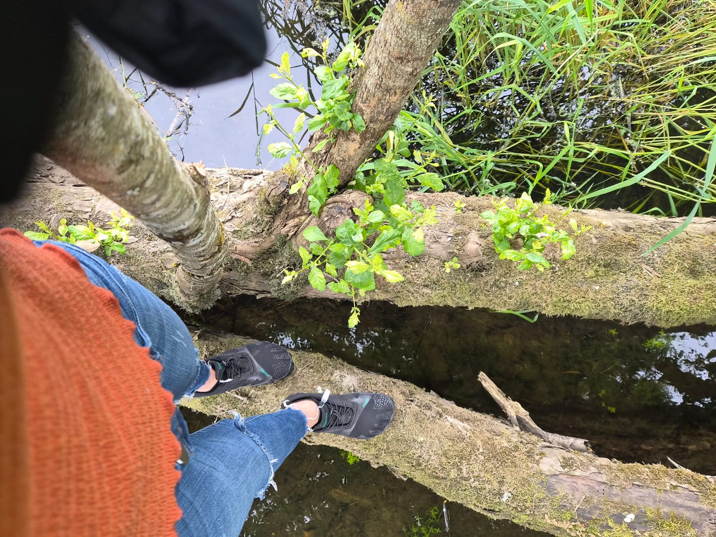Customer photo review of Vitality III - Barefoot Shoes
