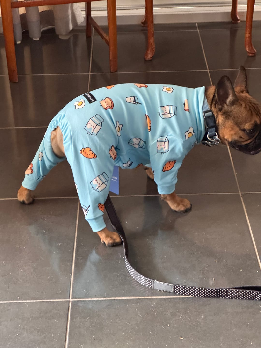 Customer photo review of Dog Pajama Prints