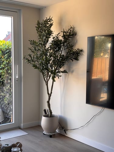 Customer photo review of Kunst Olijfboom 210cm