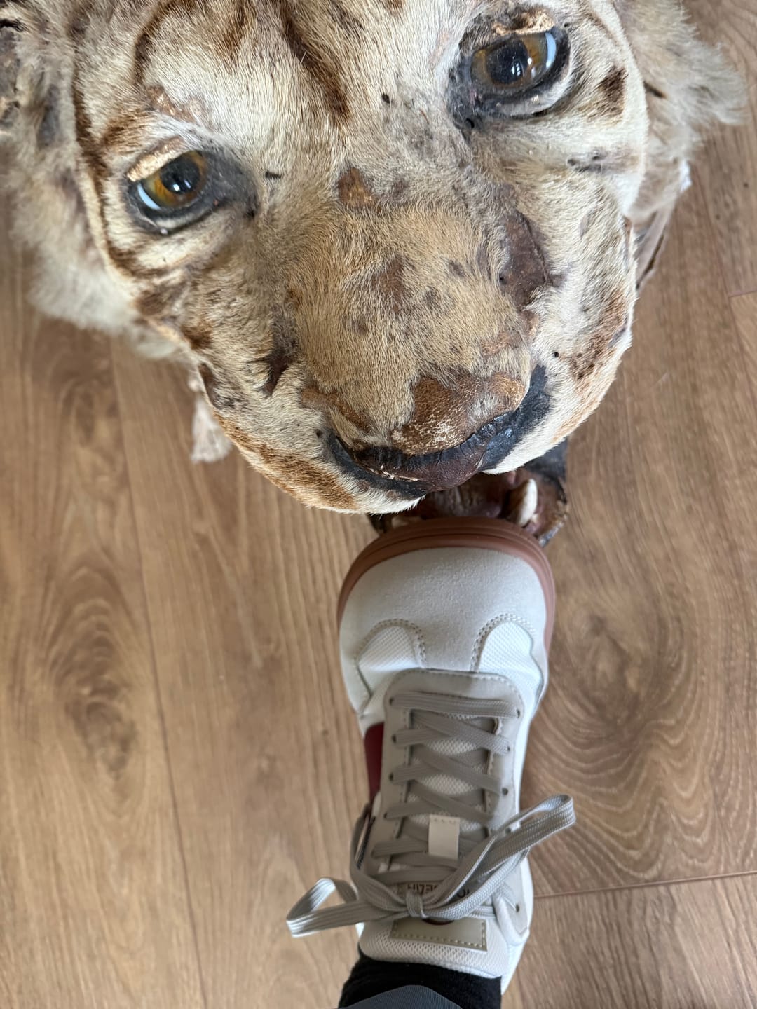 Customer photo review of Opuntia - Wide Toe Sneakers