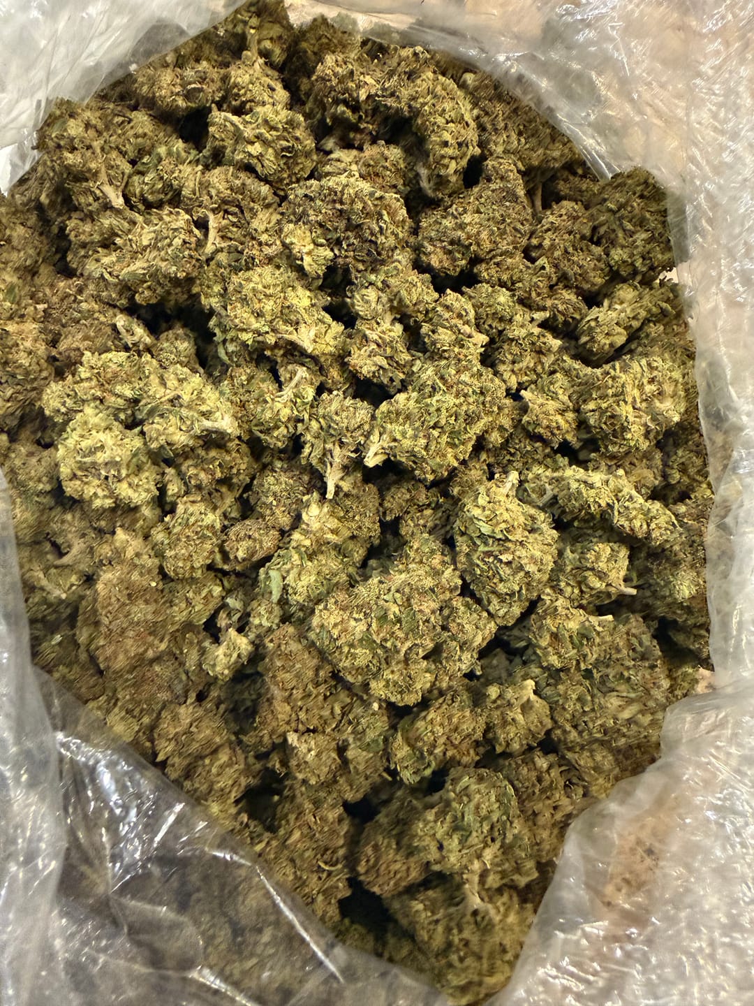 Customer photo review of Grape Soda - Bulk - Sativa