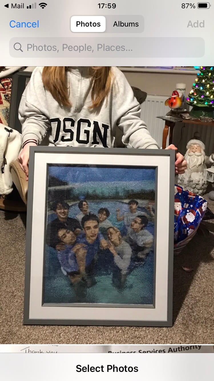 Customer photo review of Custom Cross Stitch Tapestry Kit | Just Upload Your Photo!