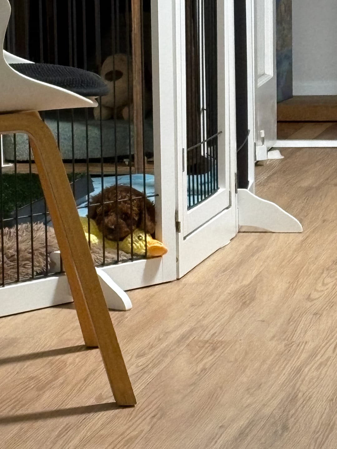 Customer photo review of Calming Duck Toy