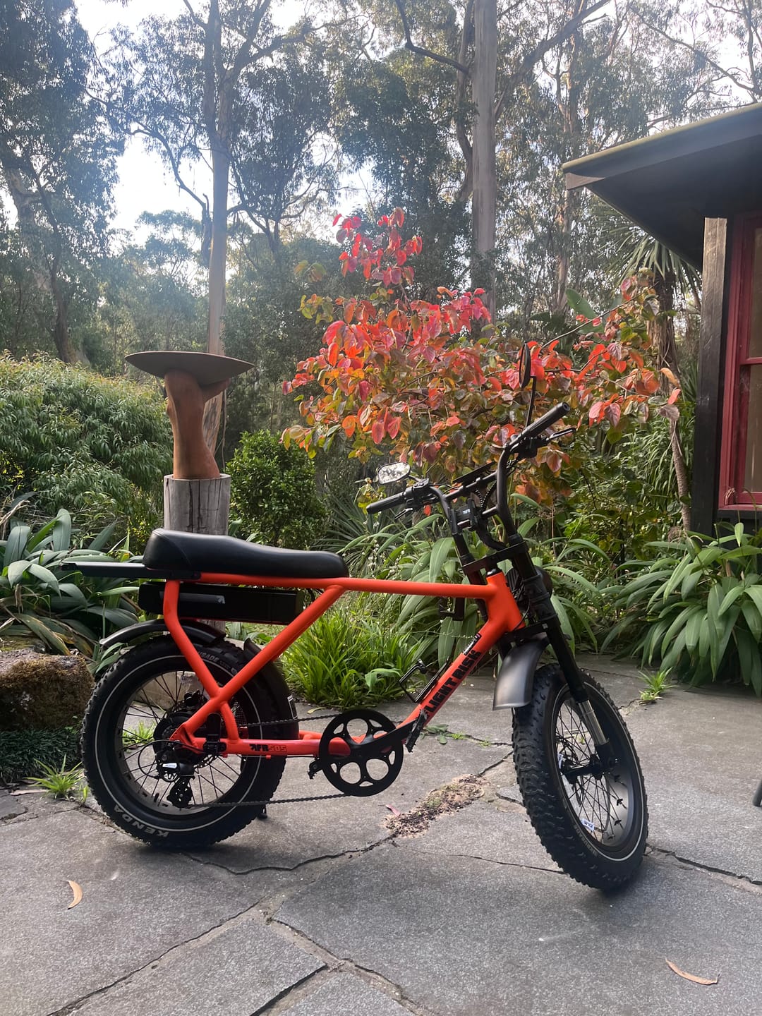 Customer photo review of FR505 - Orange