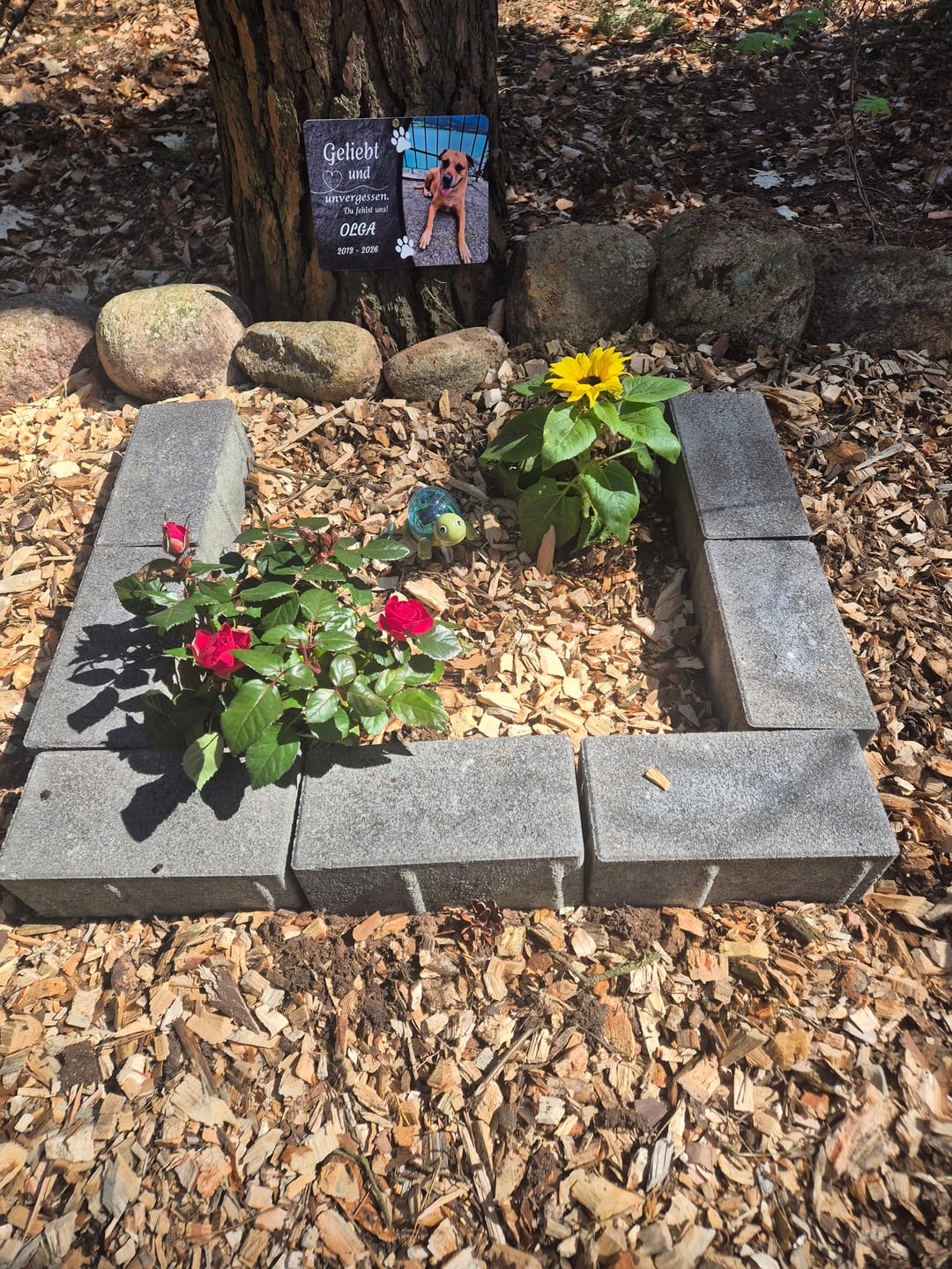 Customer photo review of Hunde Gedenktafel mit Foto & Spruch (UV- & Wetterfest)