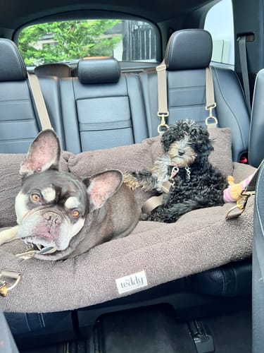 Customer photo review of The XL Cosy Car Seat