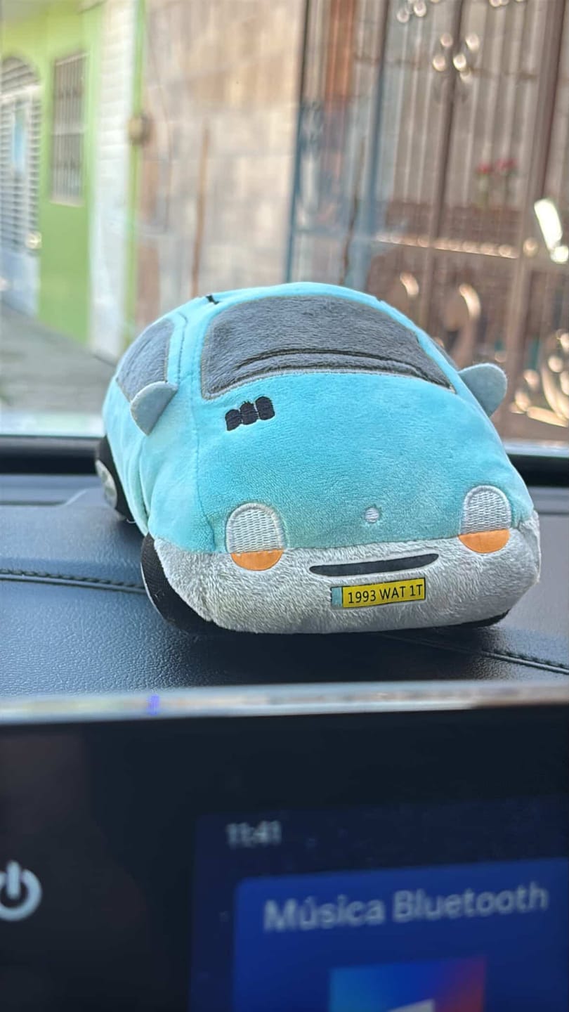 Customer photo review of Twingo Plushie