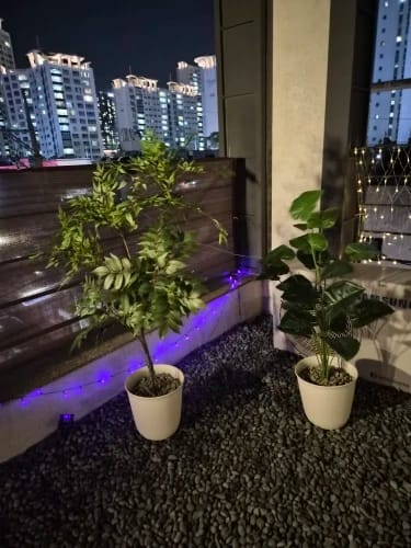 Customer photo review of One Pcs 100cm Lifelike Artificial Palm Tree with 18 Leaves - Vibrant Green Faux Plant for Home Spring Decor Weddings Gardens