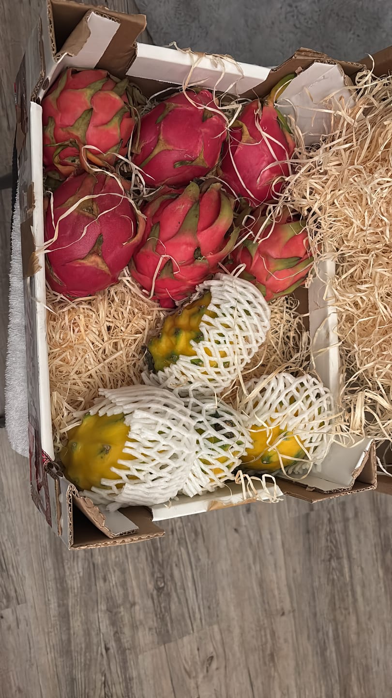 Customer photo review of Drachenfrüchte Trio Box Sonderaktion %