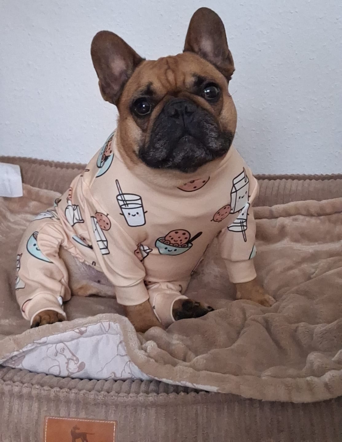 Customer photo review of Dog Pajama - Cookies and Milk