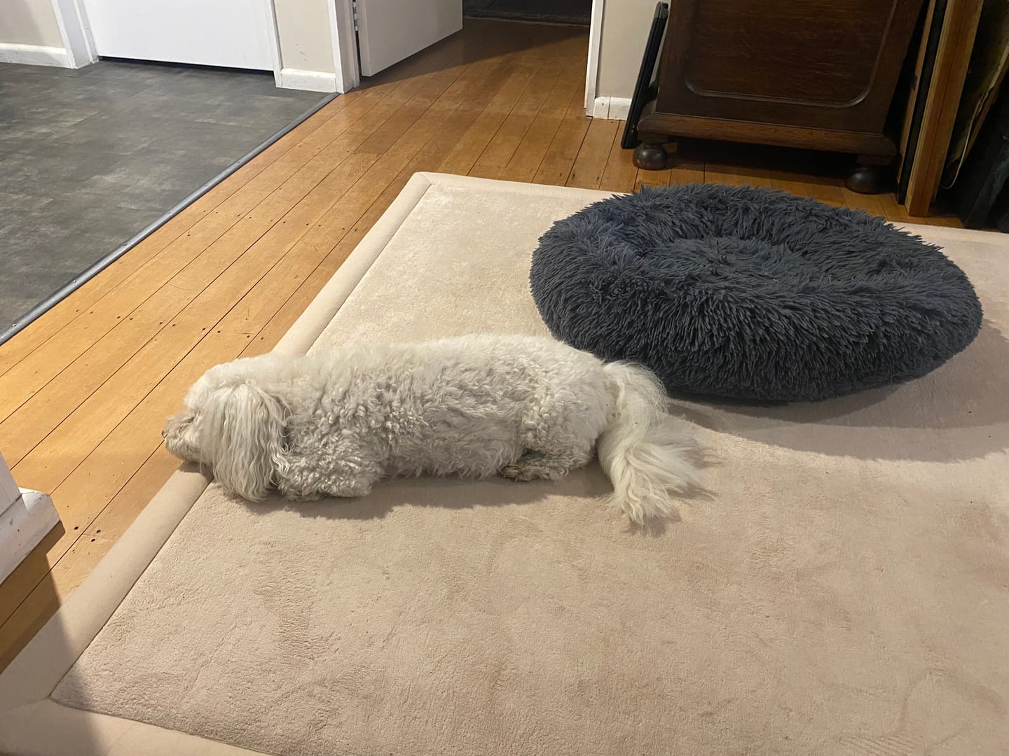 Customer photo review of Relax Mat - Soft Touch Tatami Mat