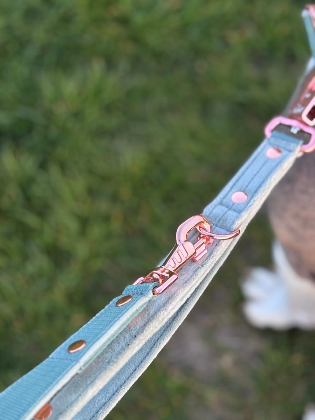 Customer photo review of Multi Guard Leash Rose Edition Pastel Green - Multi-väktarkoppel