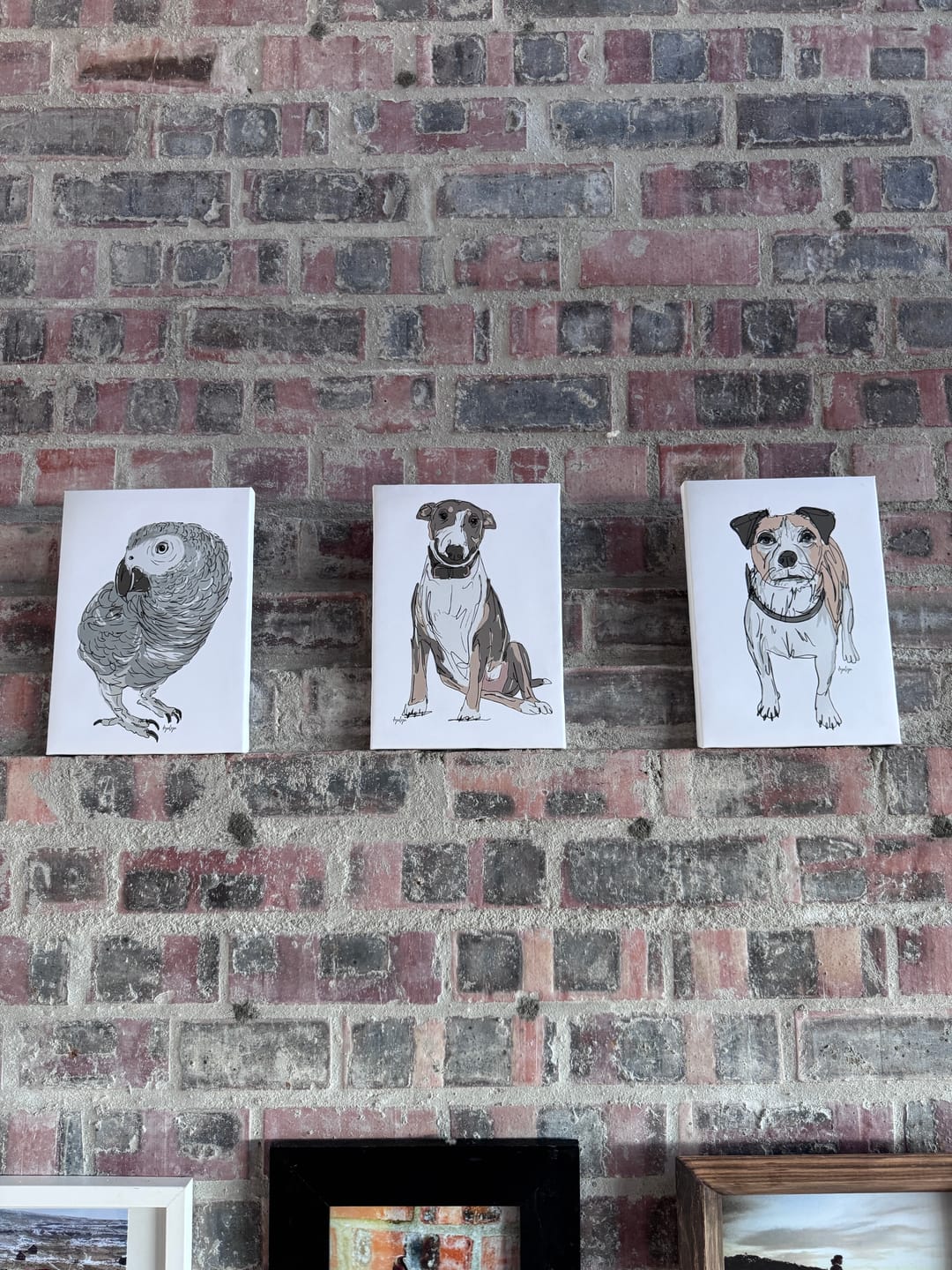 Customer photo review of 3 x A4 Canvas Combo