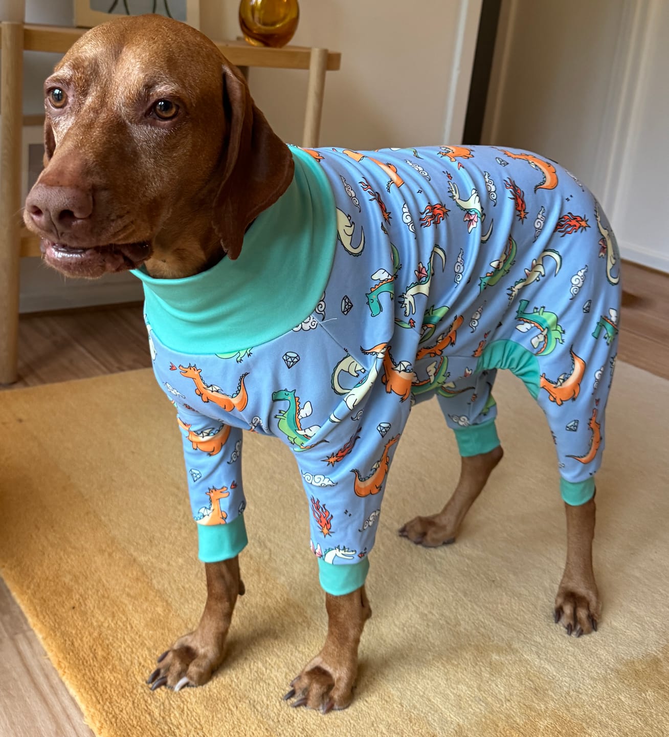 Customer photo review of Dog Pajama - Dragons