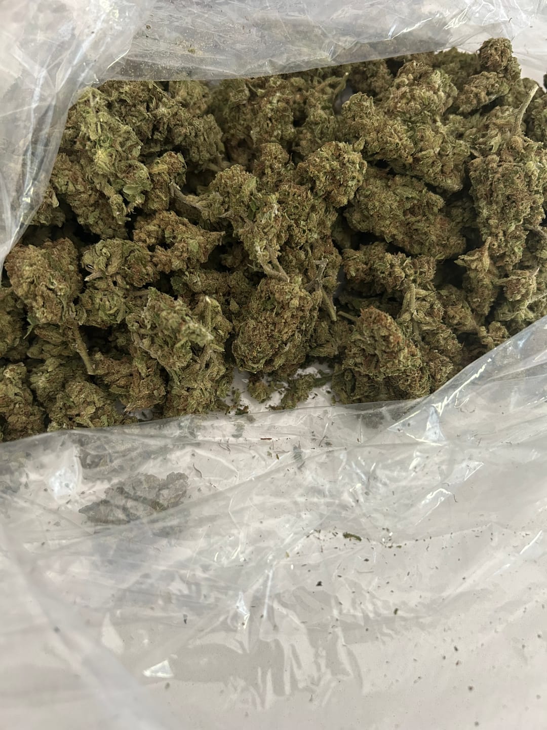Customer photo review of Caramel Apple - Bulk - Hybrid