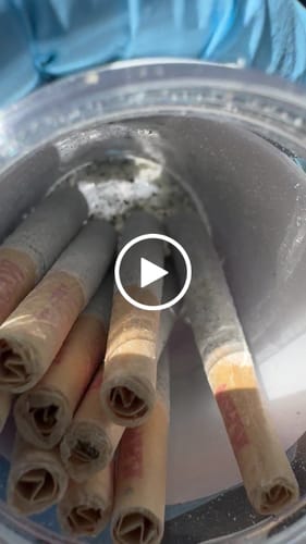 Customer video review of 10CT BLUE RASPBERRY LEMONADE COATED PRE-ROLLS