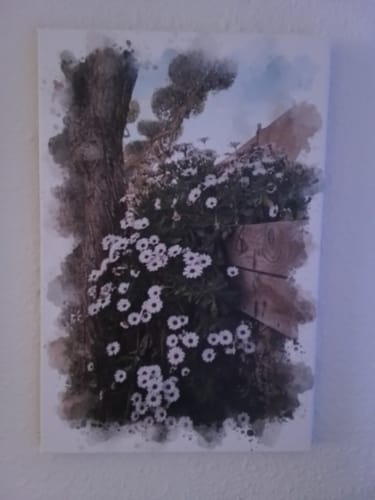 Customer photo review of Vuestra foto como obra de arte – con vista previa en vivo, como póster o lienzo
