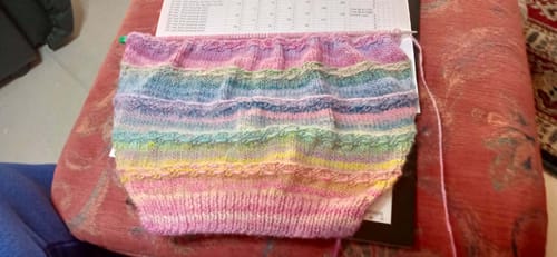 Customer photo review of Sierra 8 ply - Patons